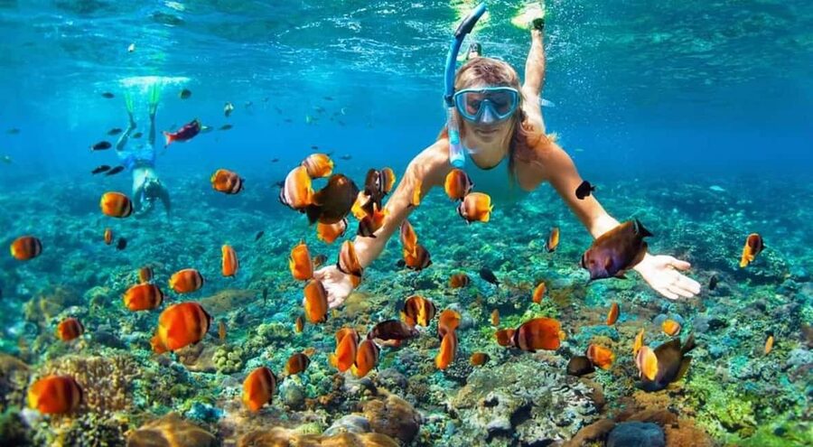 Full Day Sail and Snorkel with Turtles - Watching turtles from the boat