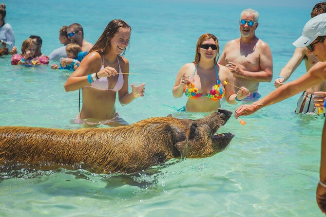 Guided All Inclusive Beach Day Excursion in Bahamas - Arriving at the Rose Island beach base