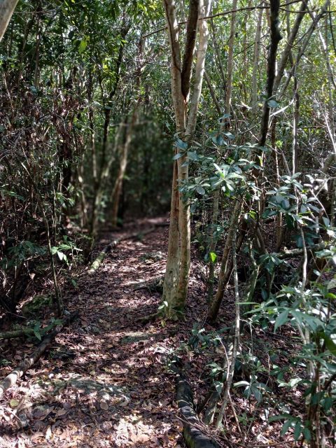 Guided Primeval Nature Walk Tour - Practical details before you reserve