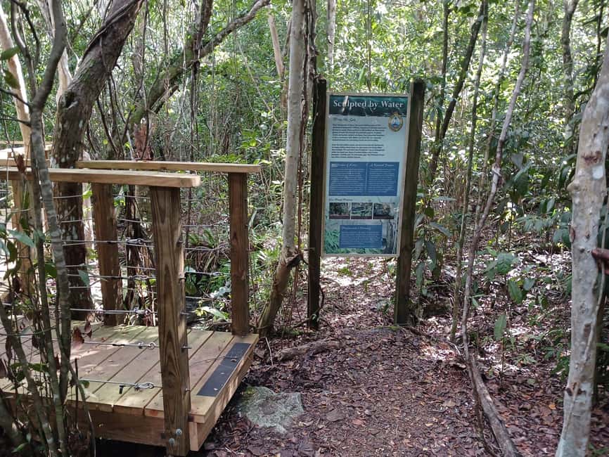 Guided Primeval Nature Walk Tour - Meeting your guide at the cruise port