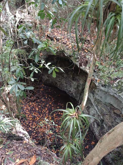 Guided Primeval Nature Walk Tour - Arawak Cay and the conch stop