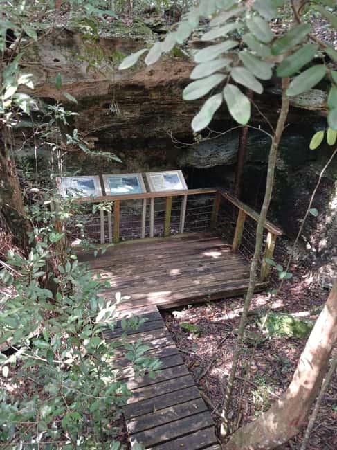 Guided Primeval Nature Walk Tour - What the $140 price really covers