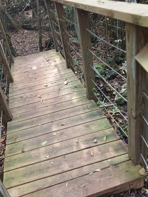 Guided Primeval Nature Walk Tour - Who will enjoy this tour most