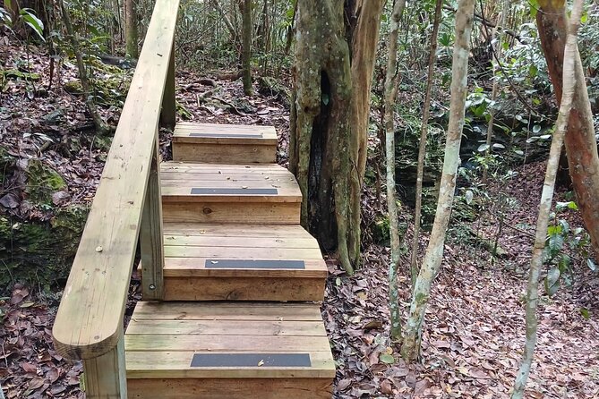 Guided Primeval Nature Walk Tour in Primeval Forest National Park - Arawak Cay closes the tour with local flavor