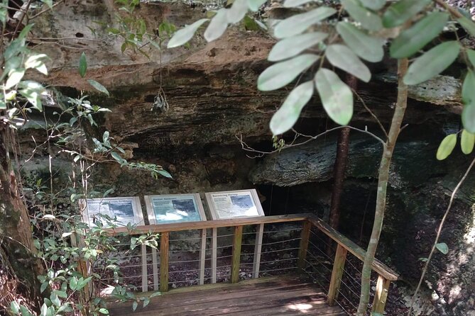 Guided Primeval Nature Walk Tour in Primeval Forest National Park - What the $130 price really covers