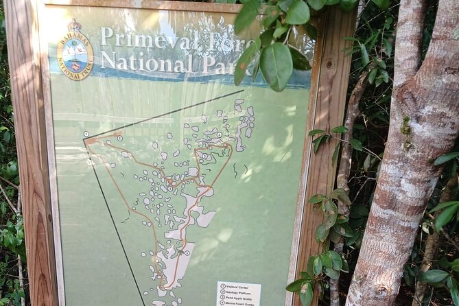 Guided Primeval Nature Walk Tour in Primeval Forest National Park - Primeval Forest National Park is the heart of the day