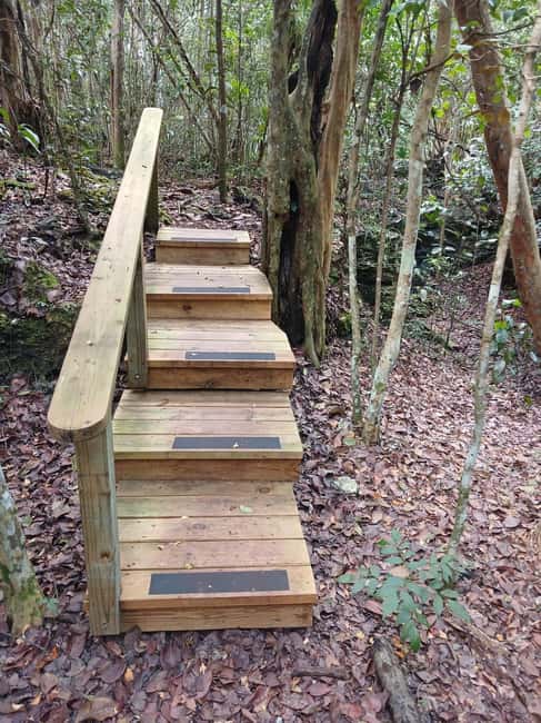 Guided Primeval Nature Walk Tour - Cave Point and the limestone interior
