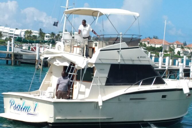 Half-Day at Green Cay Bahamas Snorkeling with Turtles - Who gets good value from the $1,500 price