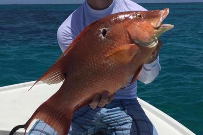 Half day Deep sea/light tackle fishing charters - How the limited rating should affect your decision