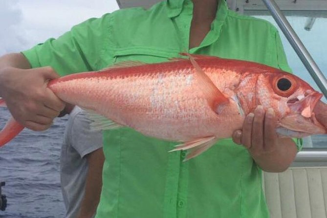 Half day Deep sea/light tackle fishing charters - What the four-hour schedule means