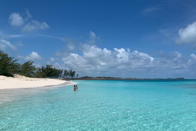 Half-Day Guided Boat Tour of Nassau Harbour and Rose Island - Green turtles and Rose Island’s swimming pigs