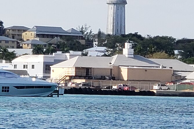 Half-Day Guided Boat Tour of Nassau Harbour and Rose Island - Bahamian lunch, snacks, and open-bar details