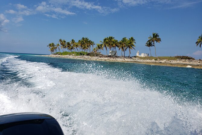 Half-Day Guided Boat Tour of Nassau Harbour and Rose Island - What the boat format means for comfort