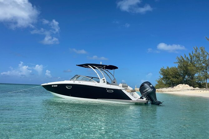 Half-Day Luxury Private Rose Island Pigs and Turtles Excursion - A private way to see Nassau from the water