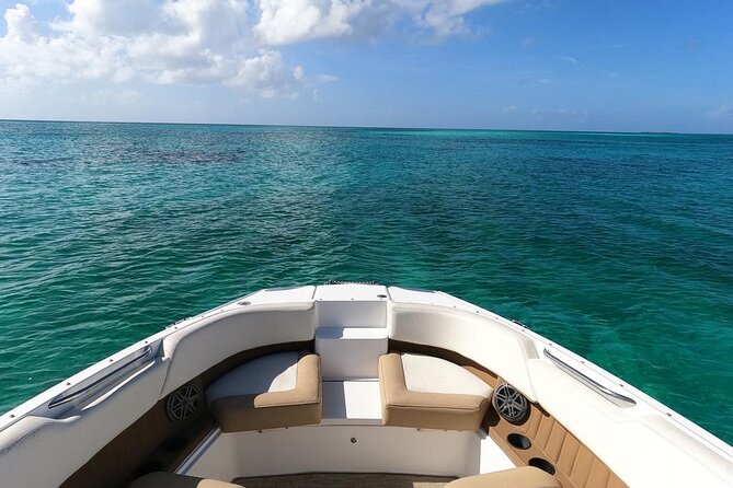 Half-Day Luxury Private Rose Island Pigs and Turtles Excursion - Snorkeling for turtles, fish, and reef views