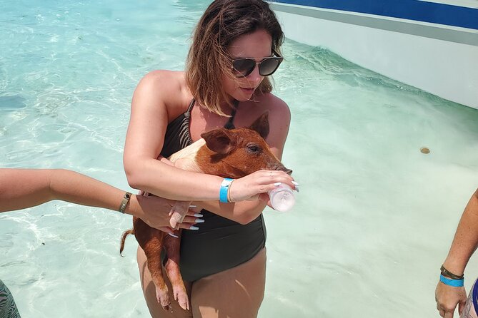 HALF DAY Swiming Pigs and Sharks Tour (Nassau to Exuma by Plane) - A big Exuma day from Nassau