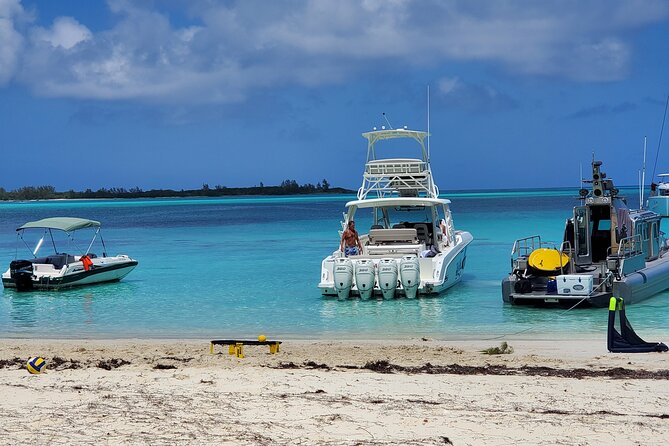 HALF DAY Swiming Pigs and Sharks Tour (Nassau to Exuma by Plane) - Nurse sharks at Compass Cay