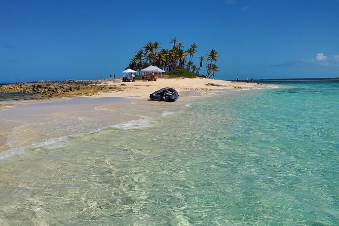 HALF DAY Swiming Pigs and Sharks Tour (Nassau to Exuma by Plane) - Lunch in Black Point on Great Exuma