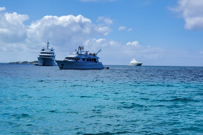 HALF DAY Swiming Pigs and Sharks Tour (Nassau to Exuma by Plane) - What the $4,000 group price really buys