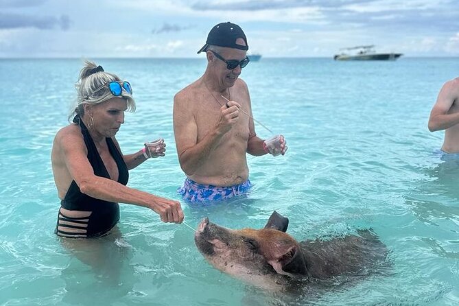 Half Day Swimming Pigs on Rose Island, Snorkeling and Lunch - Green Cay and the sea turtle lookout