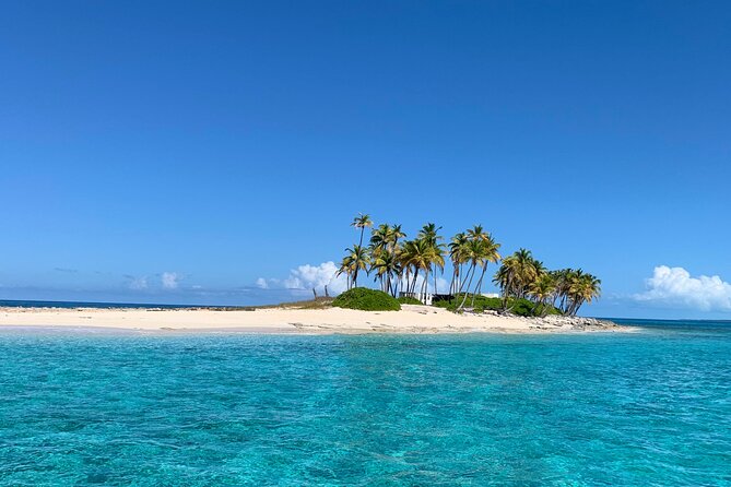 Half Day Swimming Pigs on Rose Island, Snorkeling and Lunch - Returning through Nassau Harbour