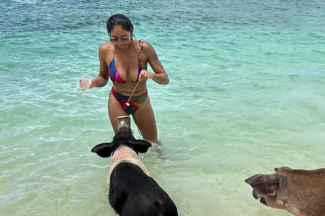 Luxury Catamaran Cruise: Sip, Sail, Snorkel, and Swim with Pigs! - Why this six-hour sailing day works