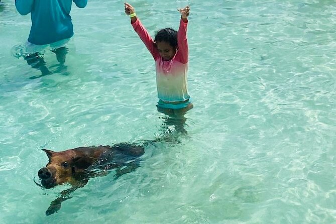 Luxury Catamaran Cruise: Sip, Sail, Snorkel, and Swim with Pigs! - Setting out from Hurricane Hole Marina