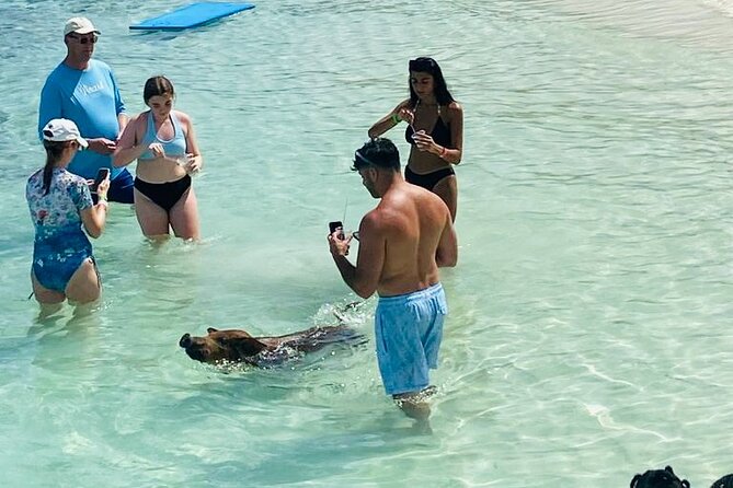 Luxury Catamaran Cruise: Sip, Sail, Snorkel, and Swim with Pigs! - Food, drinks, music, and crew service