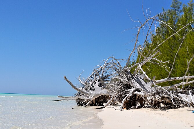 Mamma Gal Celeb-Key Native Exp. Shared Tour - Leaving Celebration Key for Grand Bahama