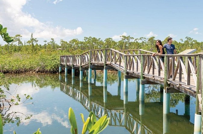 Mamma Gal Celeb-Key Native Exp. Shared Tour - Local food is part of the appeal
