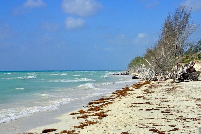 Mamma Gal Celeb-Key Native Exp. Shared Tour - Beaches, shopping, and time to slow down