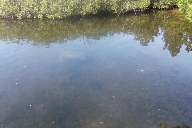 Mamma Gal East End Native Experience - Why this tour works for seeing Grand Bahama