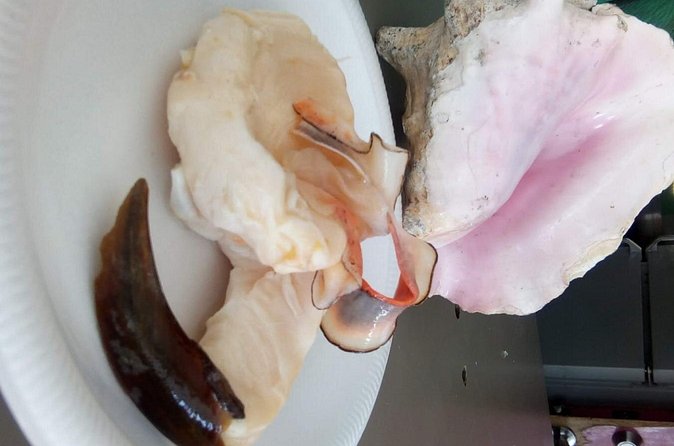 Mamma Gal Native Experience - Conch fritters, conch salad, and Banana Bay