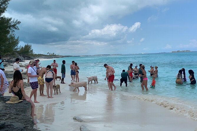 Nas: 3 islands Tour ,snorkel, Turtles, pigs and lunch - The real value of $150