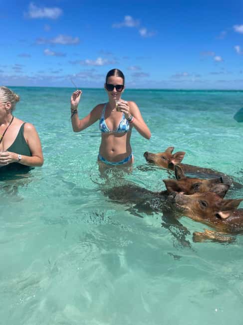 Nassau: 3-Island Snorkel Tour with Pigs, Beach Club, & Lunch - What the $159 price really covers