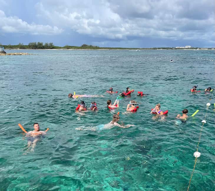 Nassau: 3 Islands Boat w/ Swimming Pigs, Snorkeling & Turtle - Rose Island, pigs, beach time, and the bar