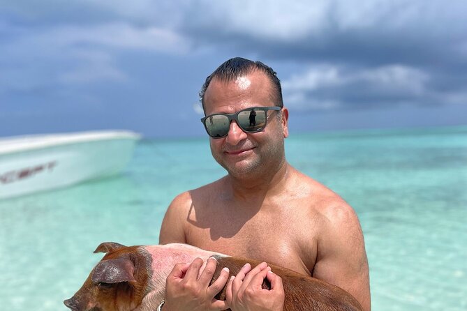 Nassau: 3 islands Pigs,Turtles,Snorkel & Beach Club with lunch - Rose Island, Rainbow Reef, and the final beach stop