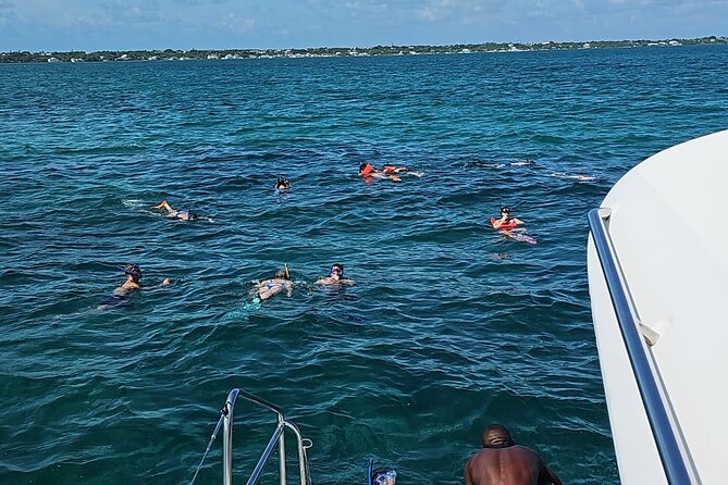 Nassau 3-stops: Snorkeling, Swimming Pigs, Turtles & Lunch - Pig Beach and the extra-cost encounter