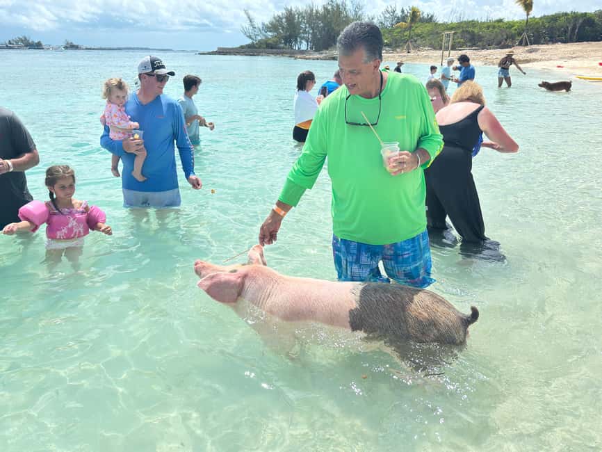 Nassau: 4-Island Tour Swimming Pigs, turtles, snorkeling - Green Cay and the turtle habitat