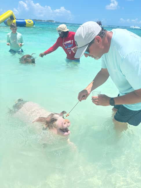 Nassau: 4-Island Tour Swimming Pigs, turtles, snorkeling - Snorkeling a protected coral reef