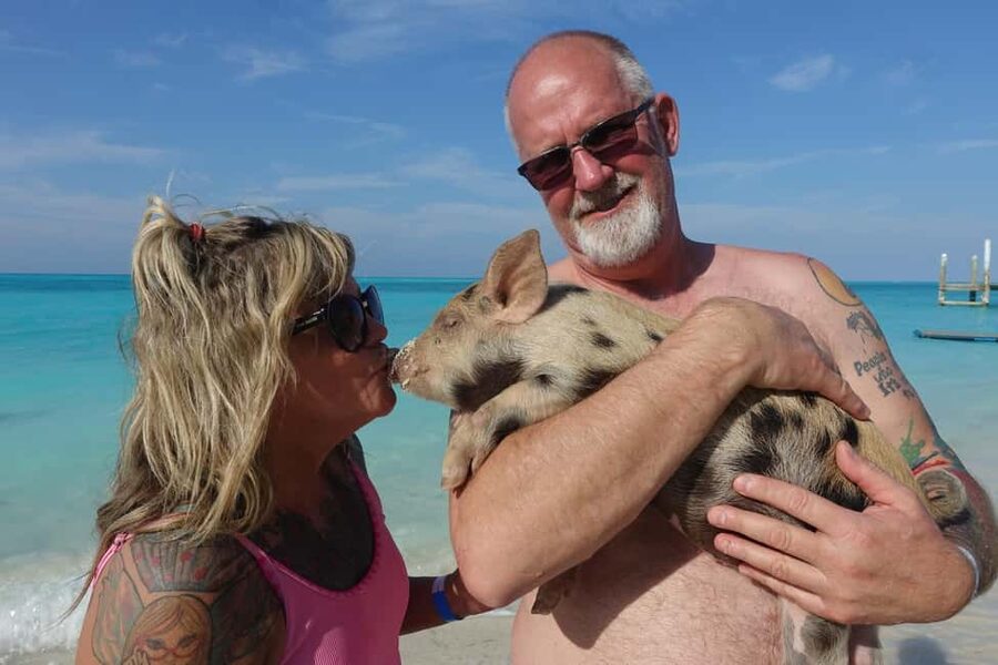 Nassau ATV & Swimming Pigs Tour - Nassau by ATV, buggy, or Jeep