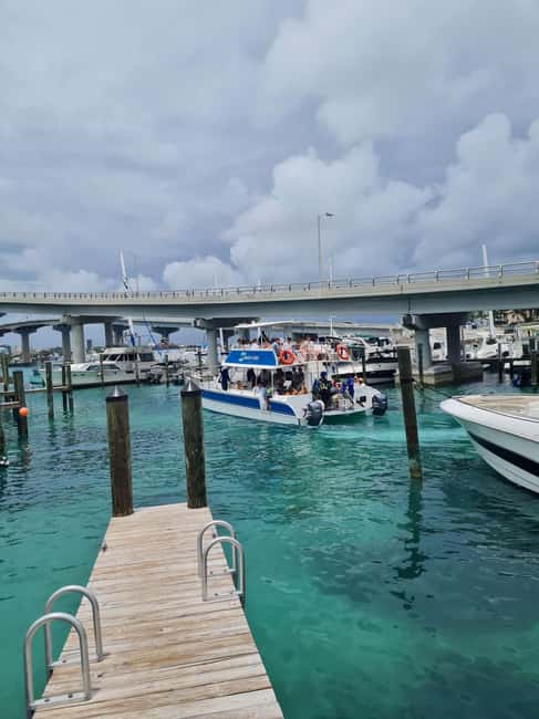 Nassau ATV & Swimming Pigs Tour - Swimming pigs, turtles, and snorkeling
