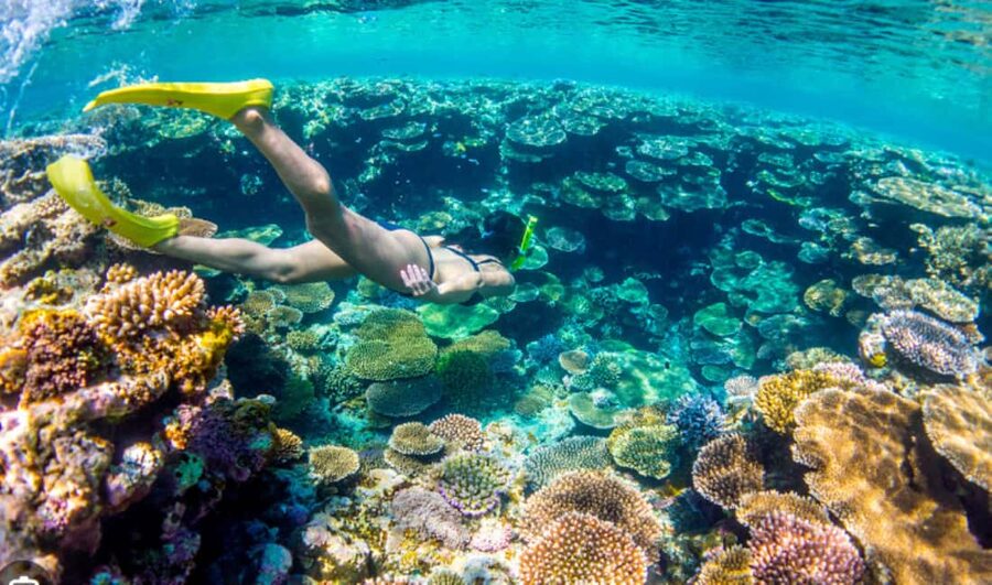 Nassau: Catamaran Sail and Snorkel Tour - What the return ride adds