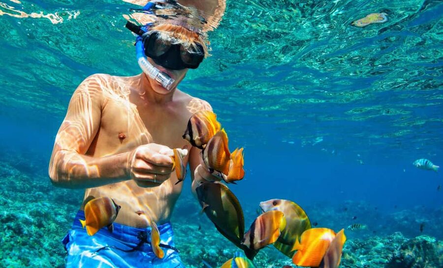 Nassau: Catamaran Sail and Snorkel Tour - Who will enjoy this most