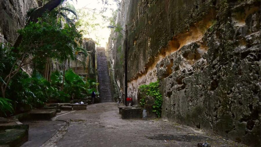 Nassau City Tour: Discover the Charms of Old Charles Town - Rum cake, peanut coladas, and the sweeter side of the island