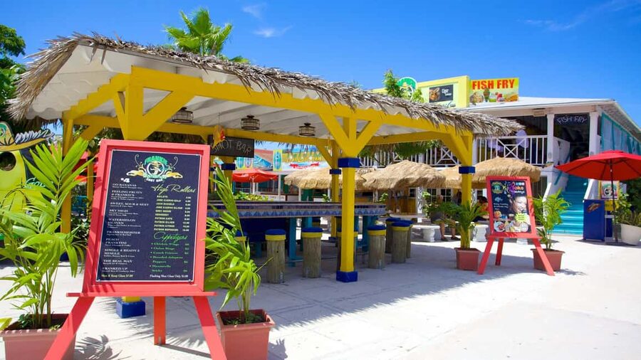 Nassau City Tour: Discover the Charms of Old Charles Town - Guides can make or break a short Nassau tour