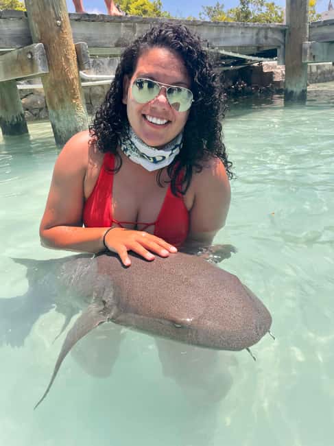 Nassau: Discover Exuma Island Hopping and Swimming Pigs Tour - Key Points at a Glance