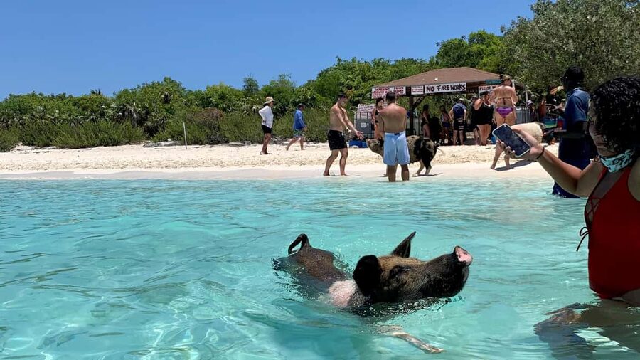 Nassau: Discover Exuma Island Hopping and Swimming Pigs Tour - Snorkeling Above Pablo Escobar’s Plane Wreck