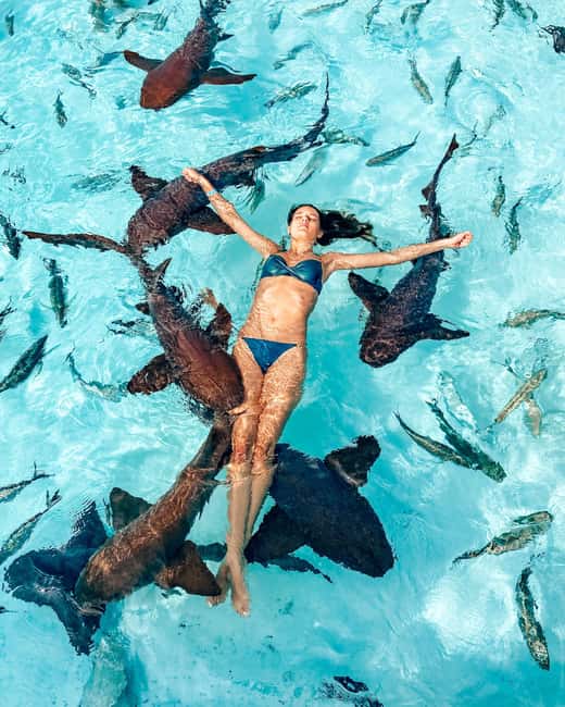 Nassau: Discover Exuma Island Hopping and Swimming Pigs Tour - The Long Ride Back to Nassau