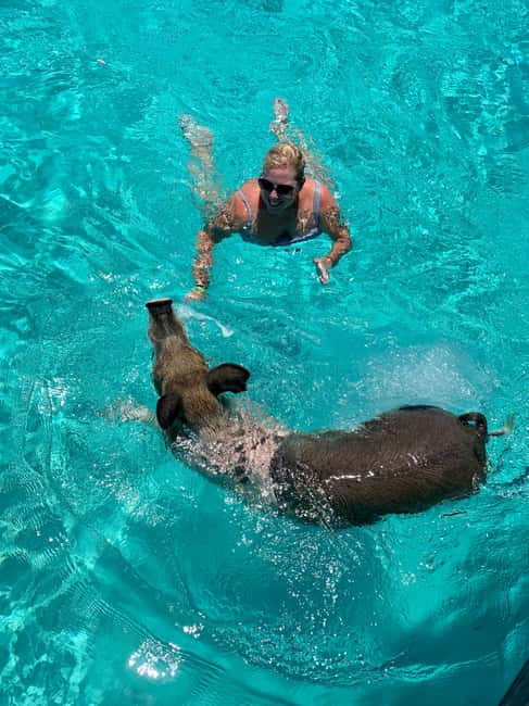 Nassau: Discover Exuma Island Hopping and Swimming Pigs Tour - Is $489 a Fair Price?